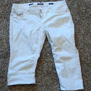 Maurices Vigoss Capris with rose gold accents